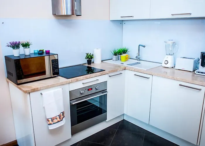 Amazing Penthouse And Riga